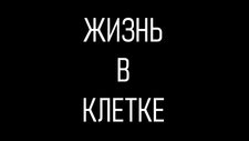 Жизнь в Клетке